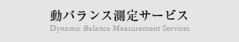 動バランス測定サービス Dynamic Balance Measurement Services