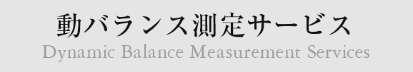 動バランス測定サービス Dynamic Balance Measurement Services